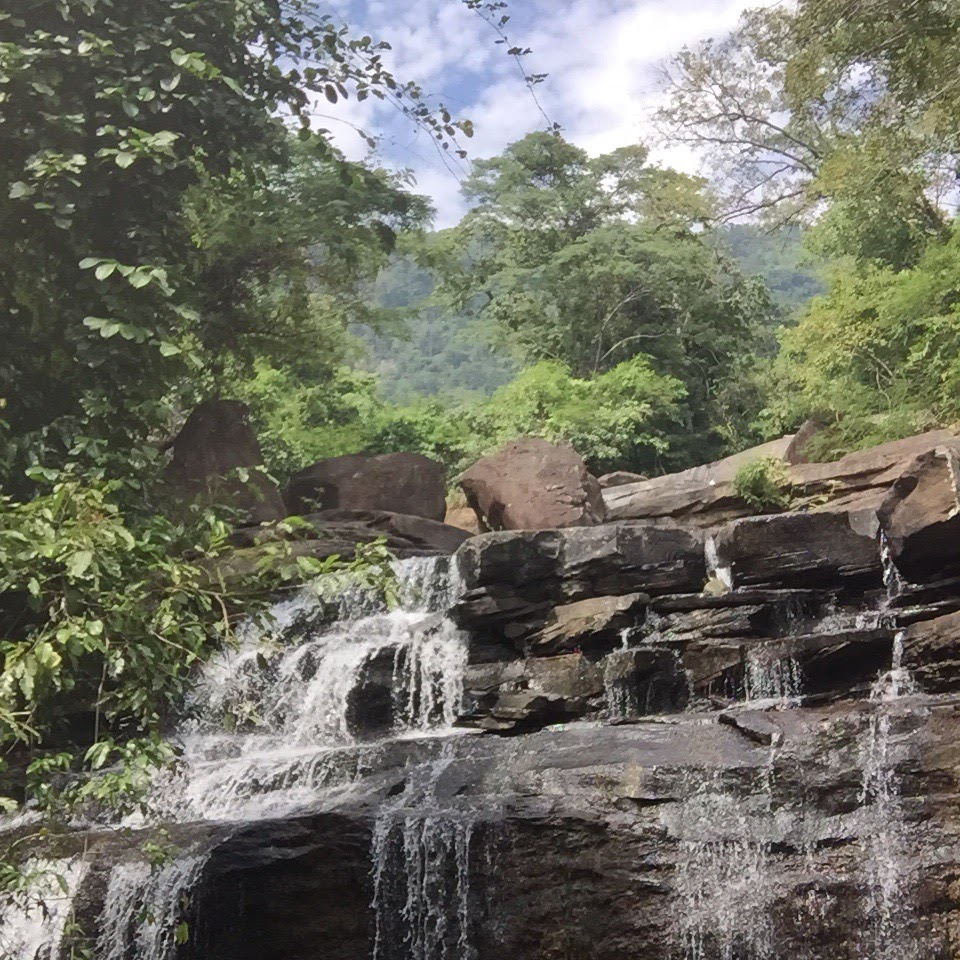 ຕາດໂອດ Oat Waterfall