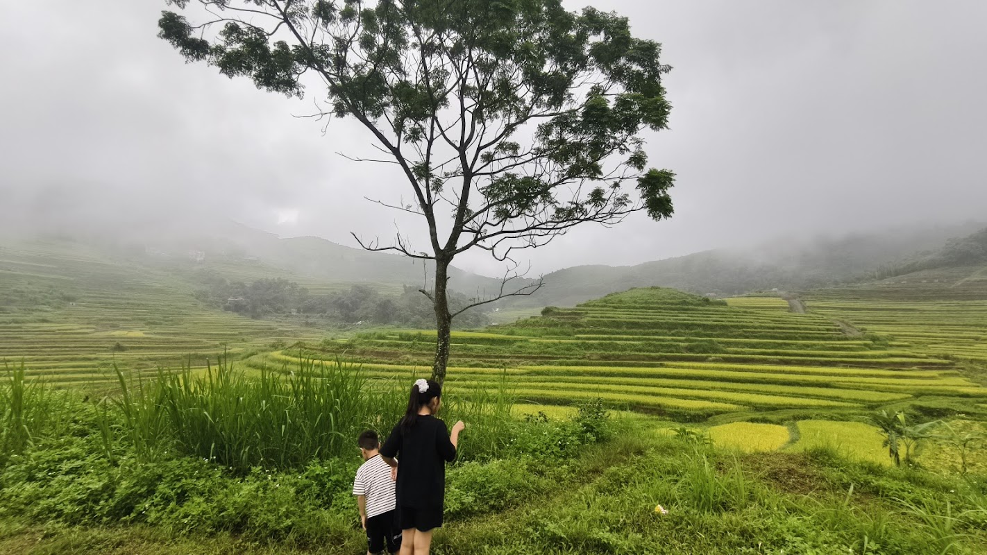 Ruộng Bậc Thang Tiên Cảnh