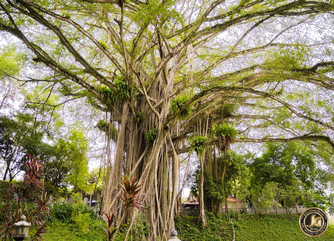 Đền Thượng Lào Cai
