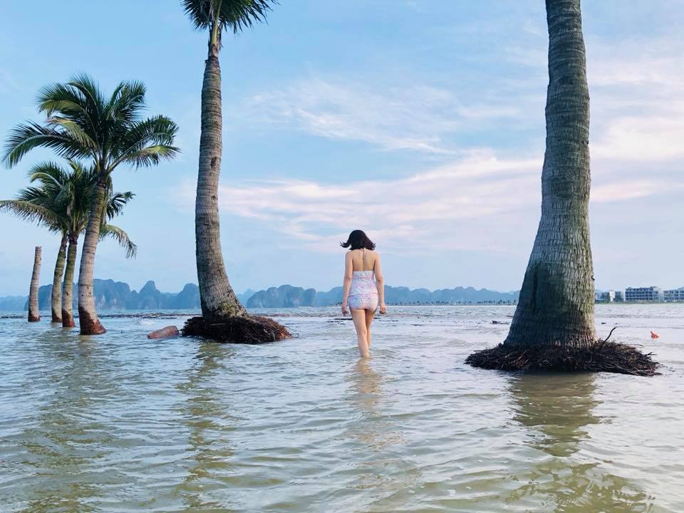 Du lịch Quảng Ninh