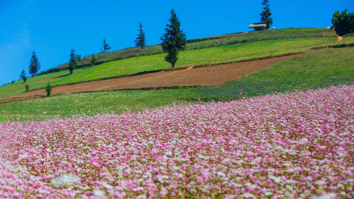 Thảo nguyên Suôi Thầu, Xín Mần, Hà Giang