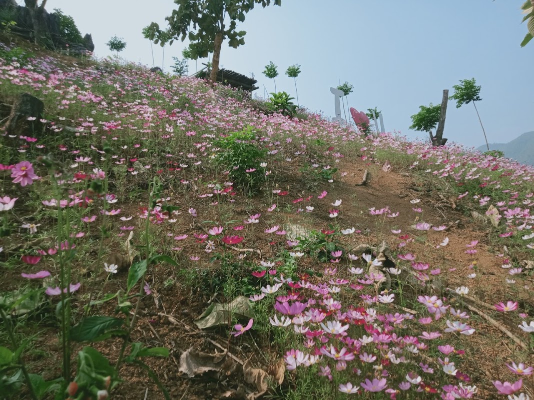 Khu Sinh Thái Du Lịch Hoa Quả Sơn