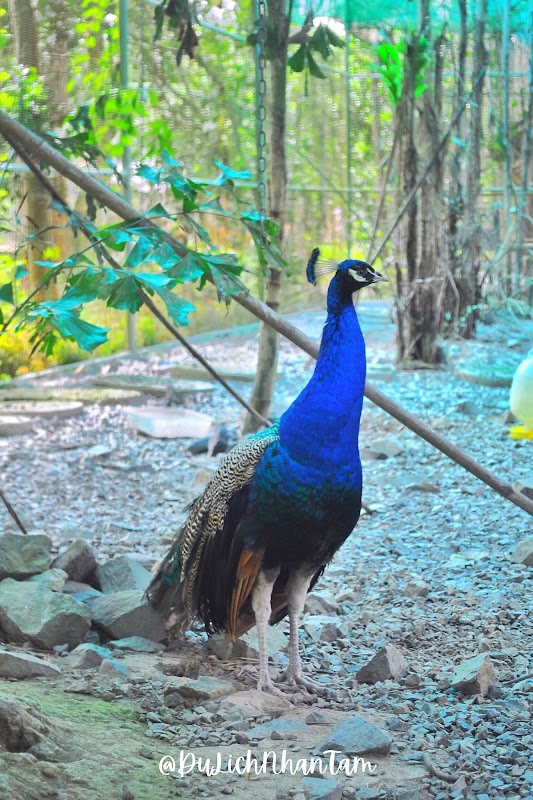 Khu du lịch sinh thái KAHO