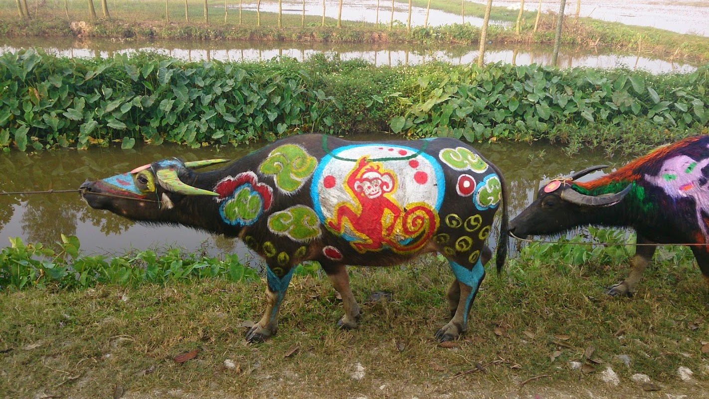 Lễ hội Tịch điền Đọi Sơn