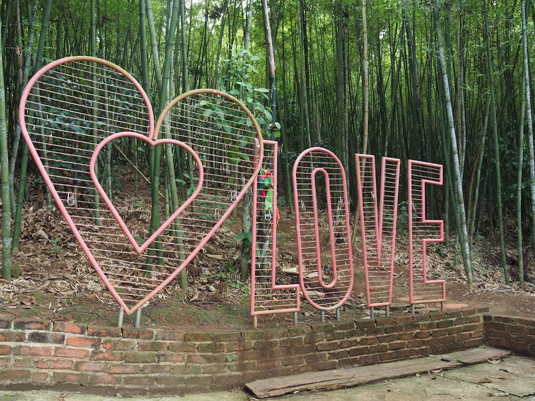 Khu Du Lịch Rừng Vàng