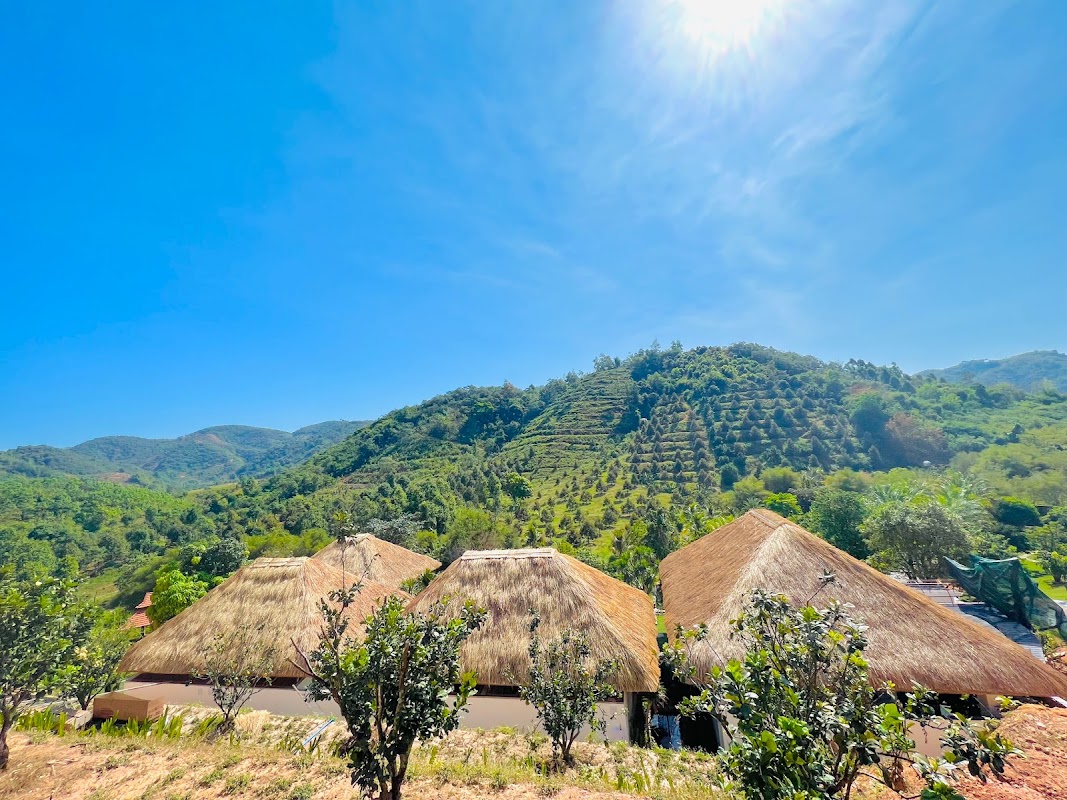 Lam Dong Tropical Villas – Biệt thự nghỉ dưỡng độc bản giữa thiên nhiên