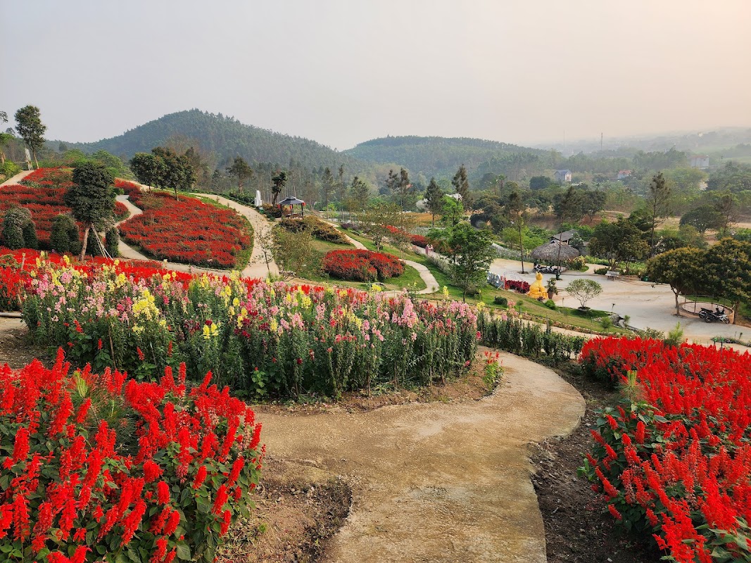 Wonderland Vĩnh Phúc