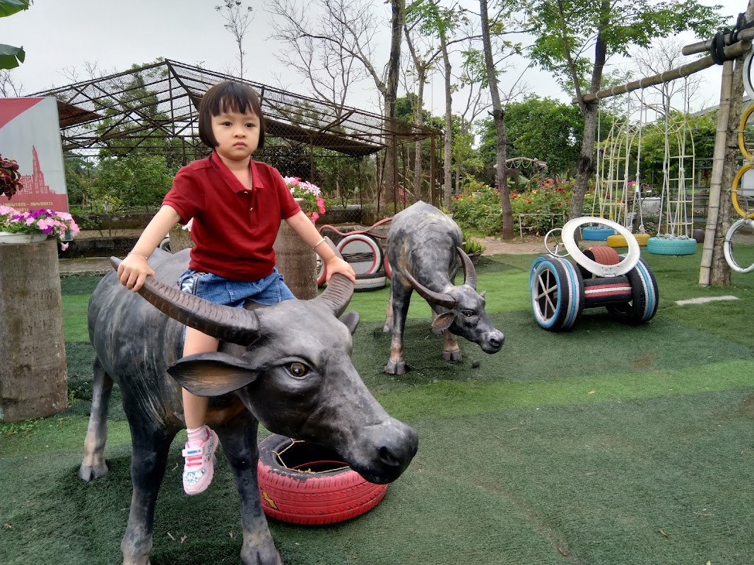 Happy Farm ( Hà Nam ) – Trang Trại Trải Nghiệm