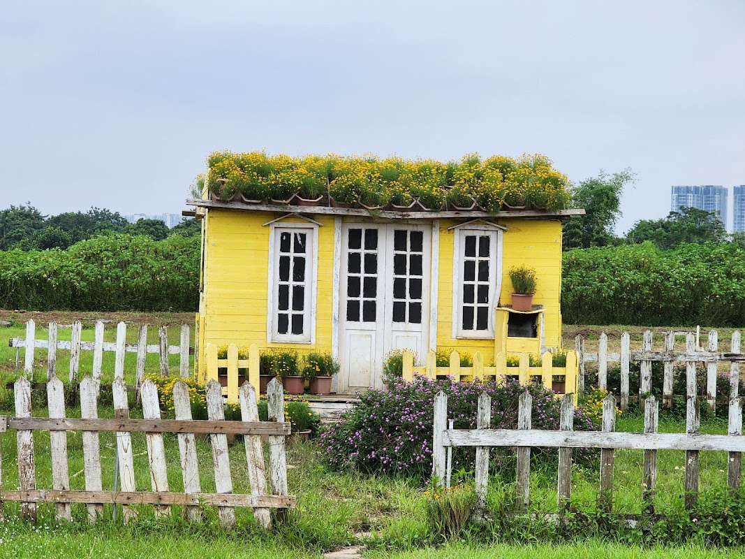 Thảo Nguyên Hoa Long Biên