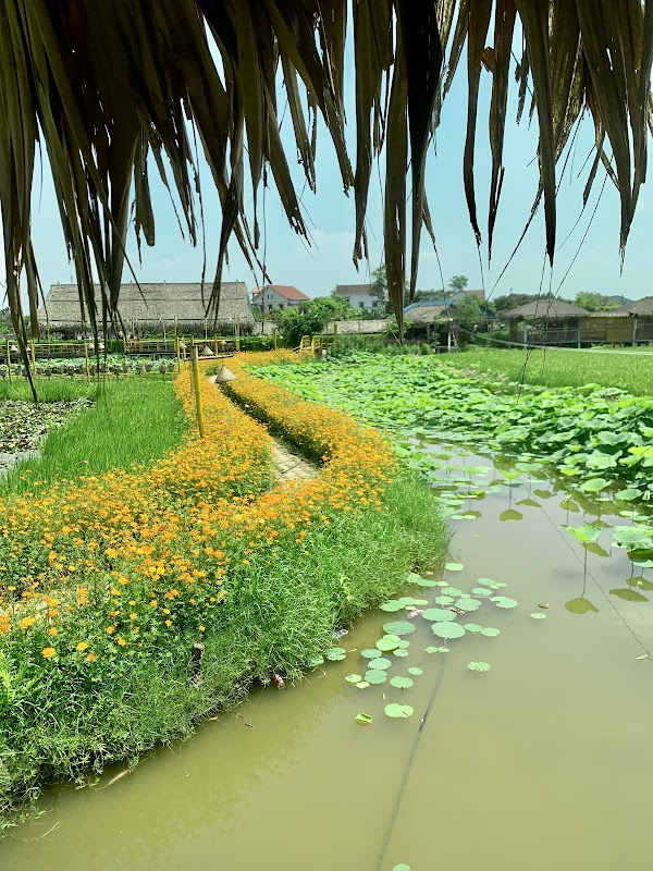 THÔN TRANG LIÊN NHẬT