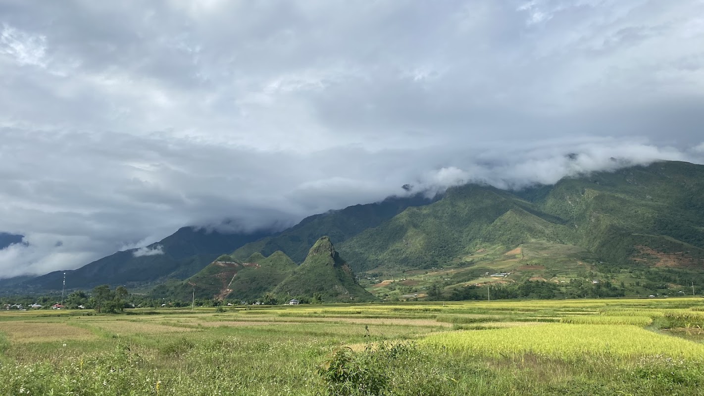 Cánh Đồng Mường Than – Than Uyên