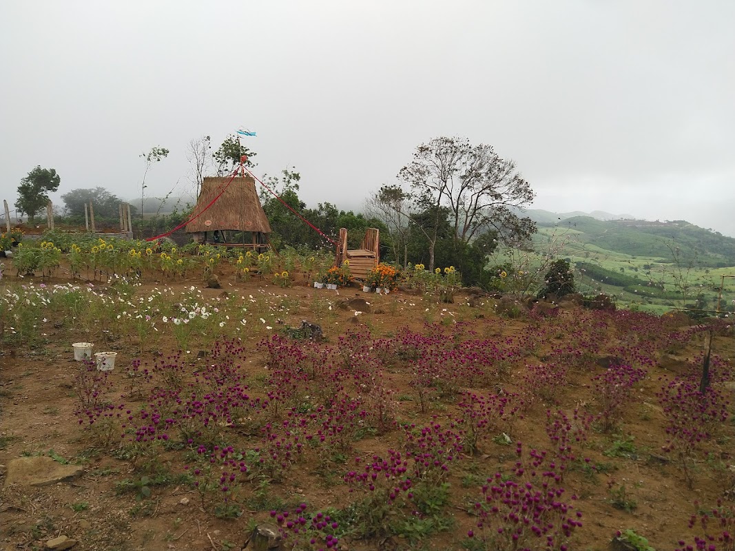 Cao nguyên Vân Hòa