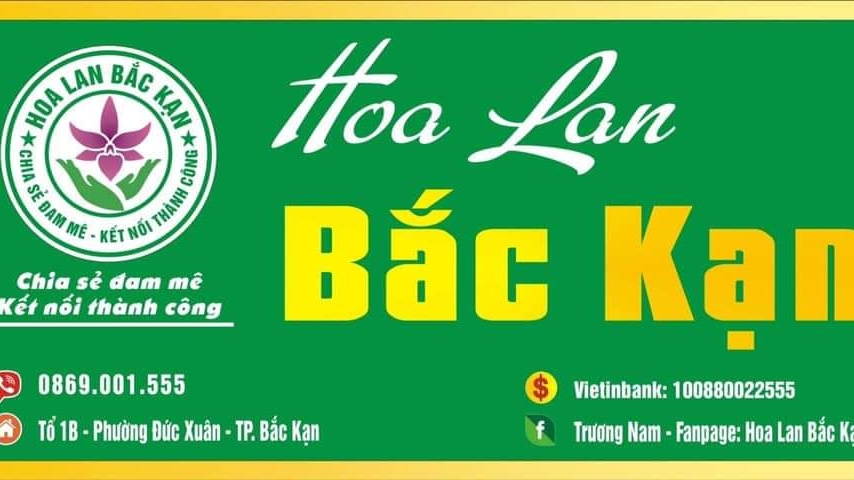 Hoa Lan Bắc Kạn