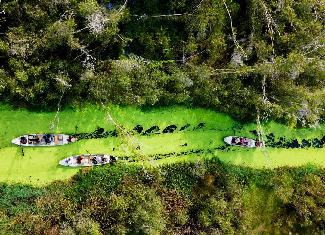 Làng Nổi Tân Lập