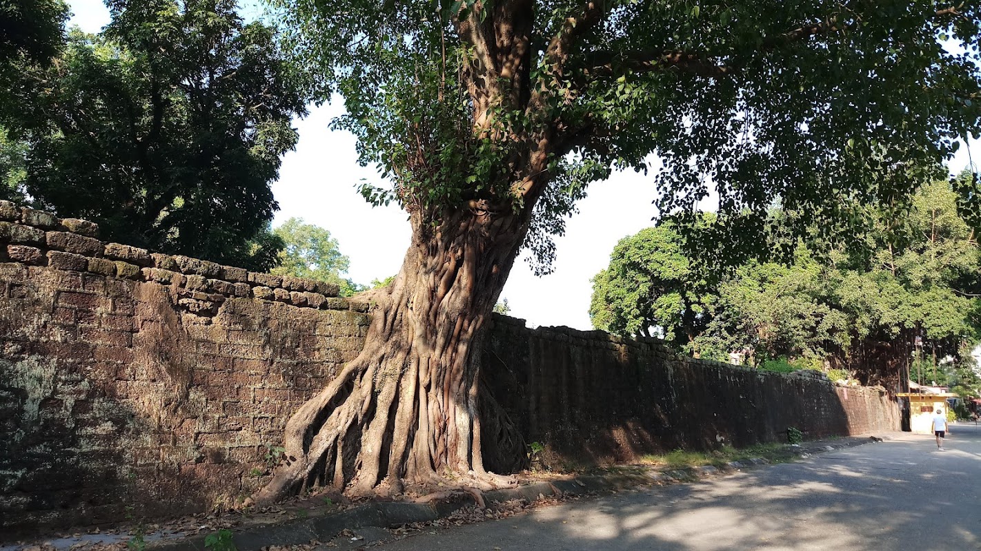 Thành Cổ Bắc Ninh