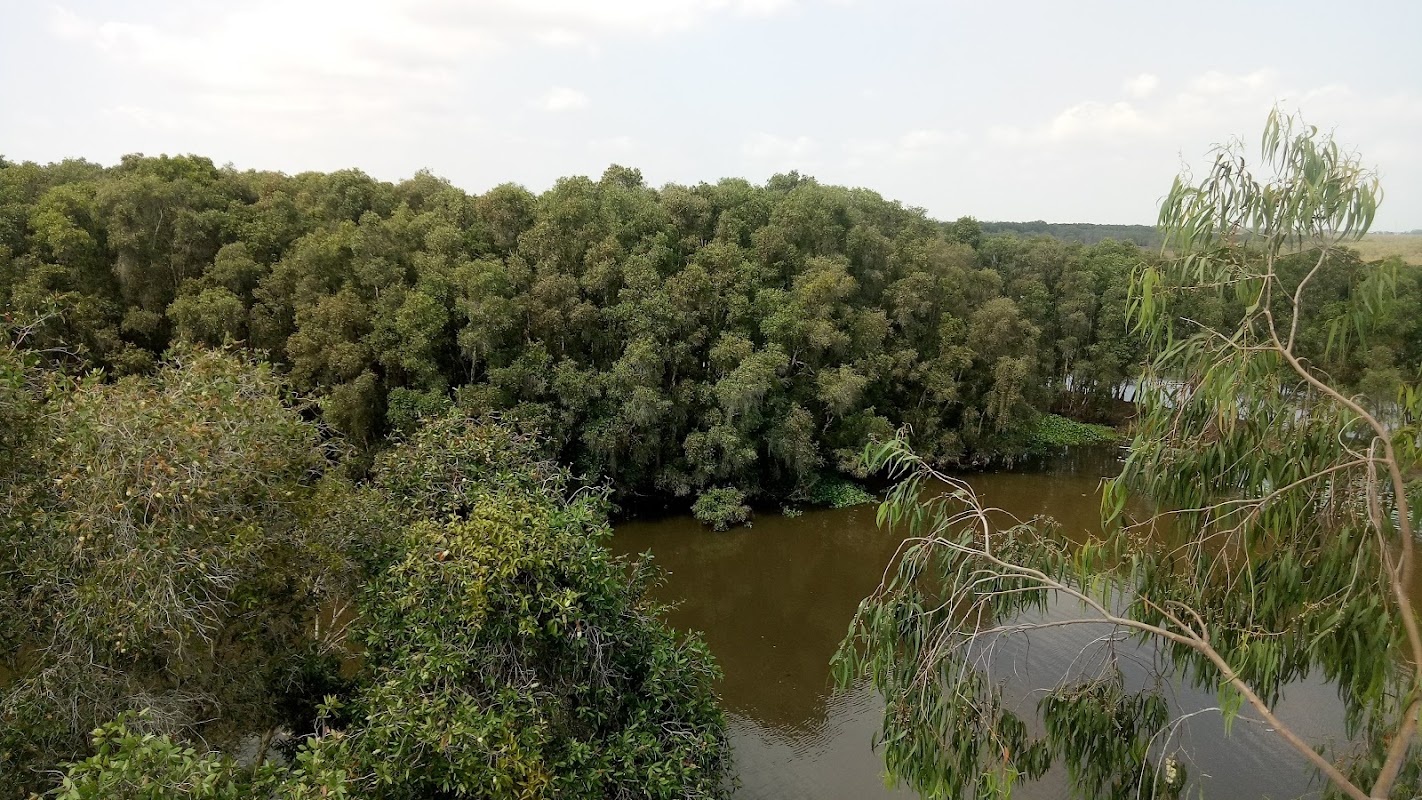 Vườn quốc gia Tràm Chim