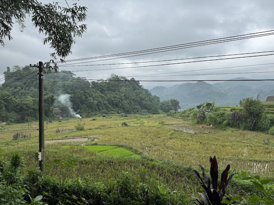 Cánh đồng lúa bậc thang Nà Thác