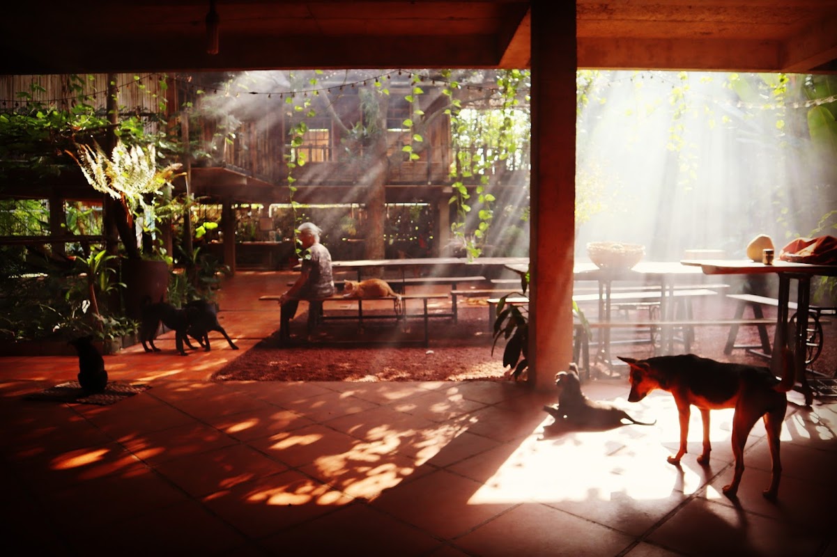 Bà Đất Eco Homestay – Your true home