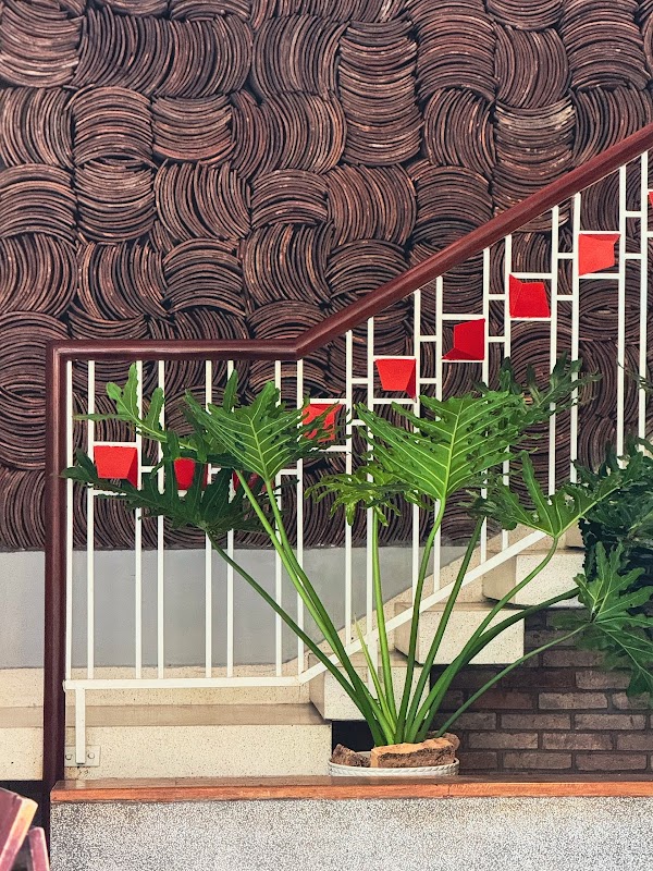 Homestay in Tay Ninh