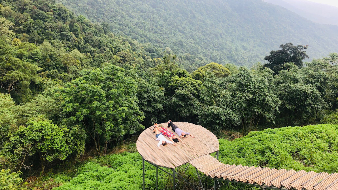 Cầu Mây Studio Tam Đảo