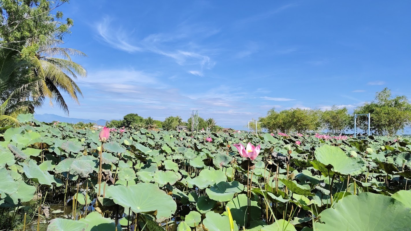 Khu Du lịch Văn hoá Sinh thái Sen Caraih