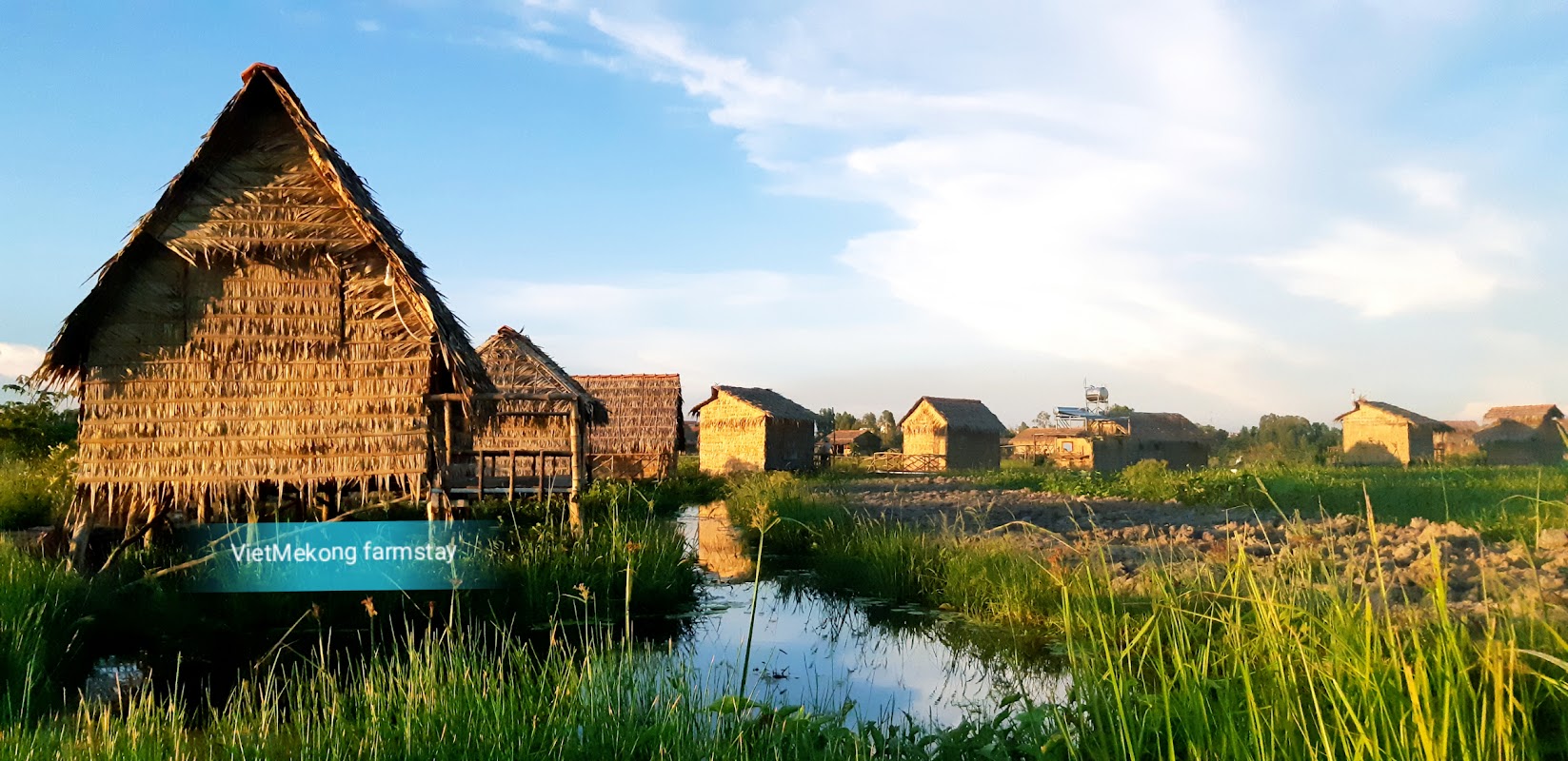 Việt Mekong Farmstay (VietNam Farmstay)
