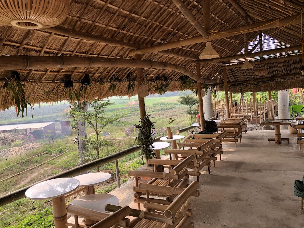 Điểm check in Cánh Đồng Hoa – Đắk Nông