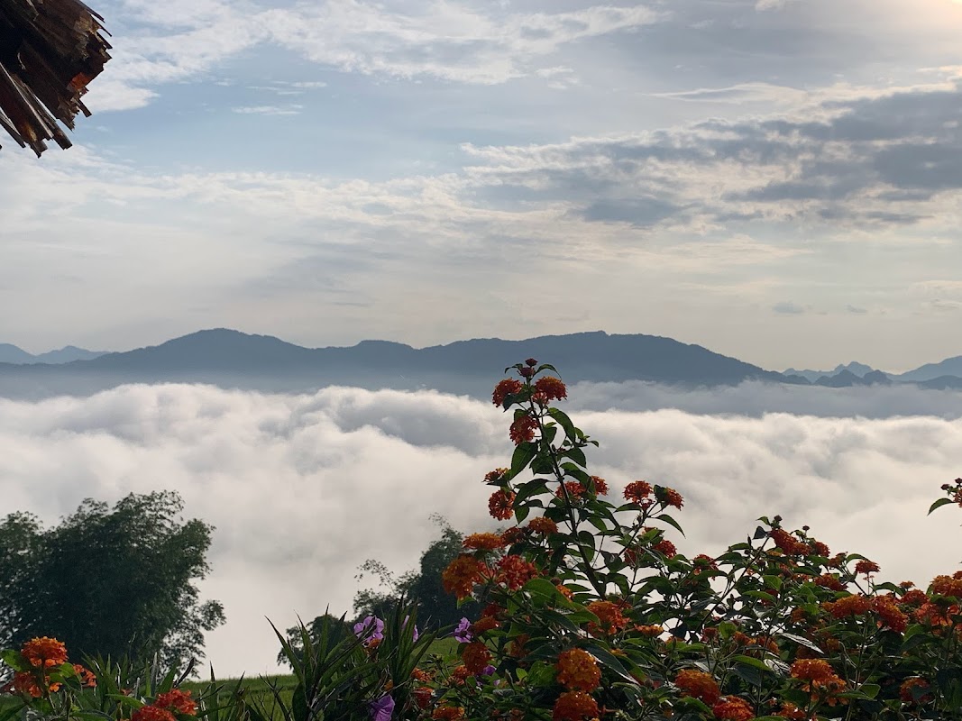 Điểm Du Lịch Đồi Mây Nà Bai
