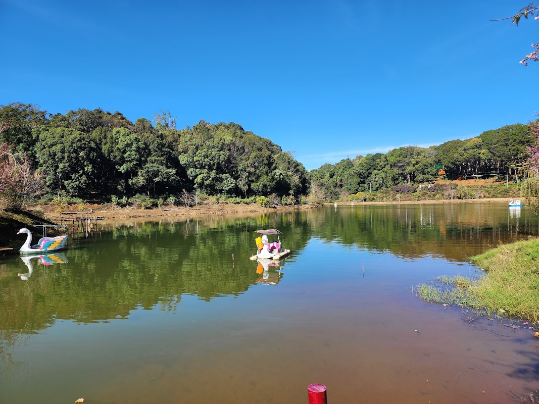 Du lịch Măng Đen